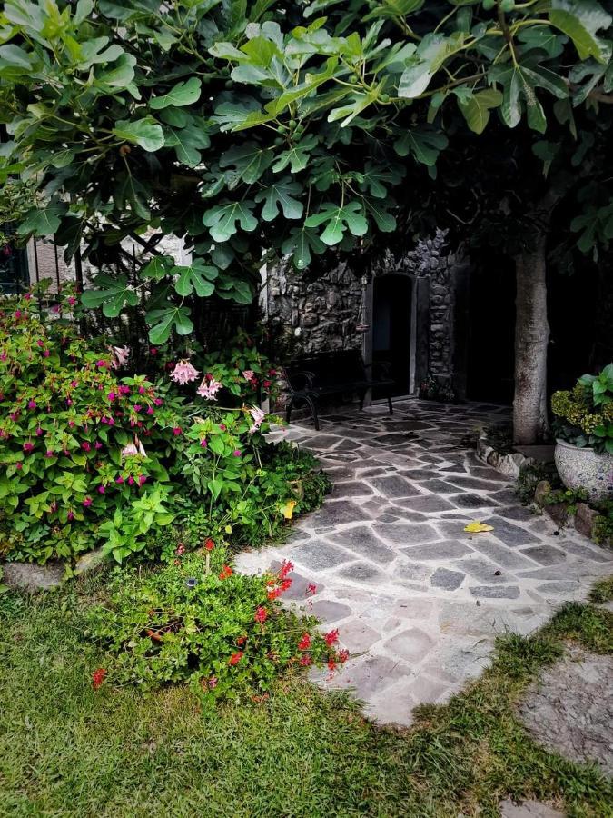 B&B Alle Ortensie Blu Sesta Godano Exterior foto